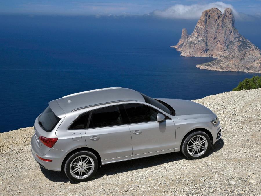  Audi Q5 3.0 TDI Quattro S-Line (8R) 2008 года  (фото 21 из 21)
